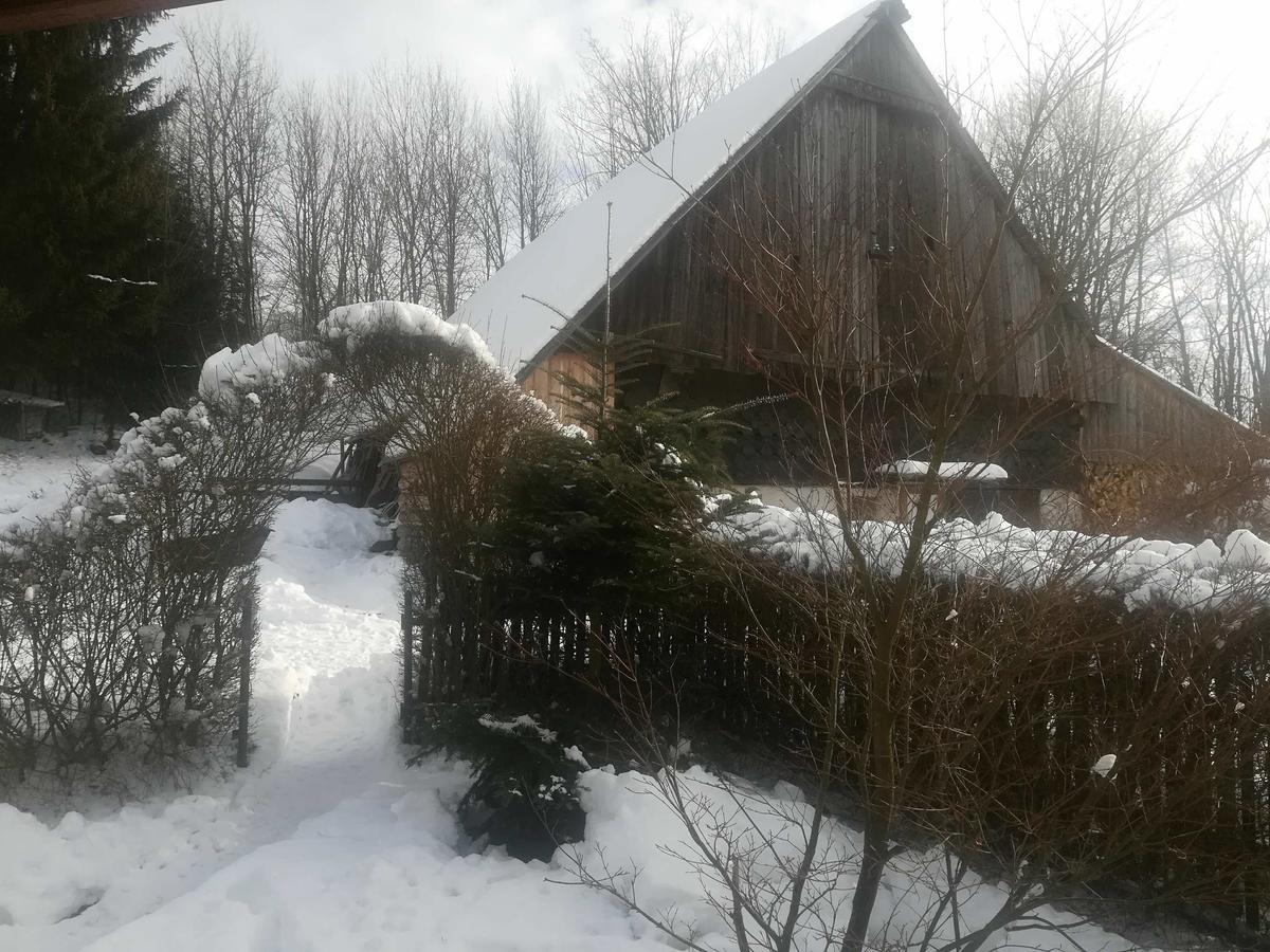 Apartmány Dana Horni Branna Kültér fotó