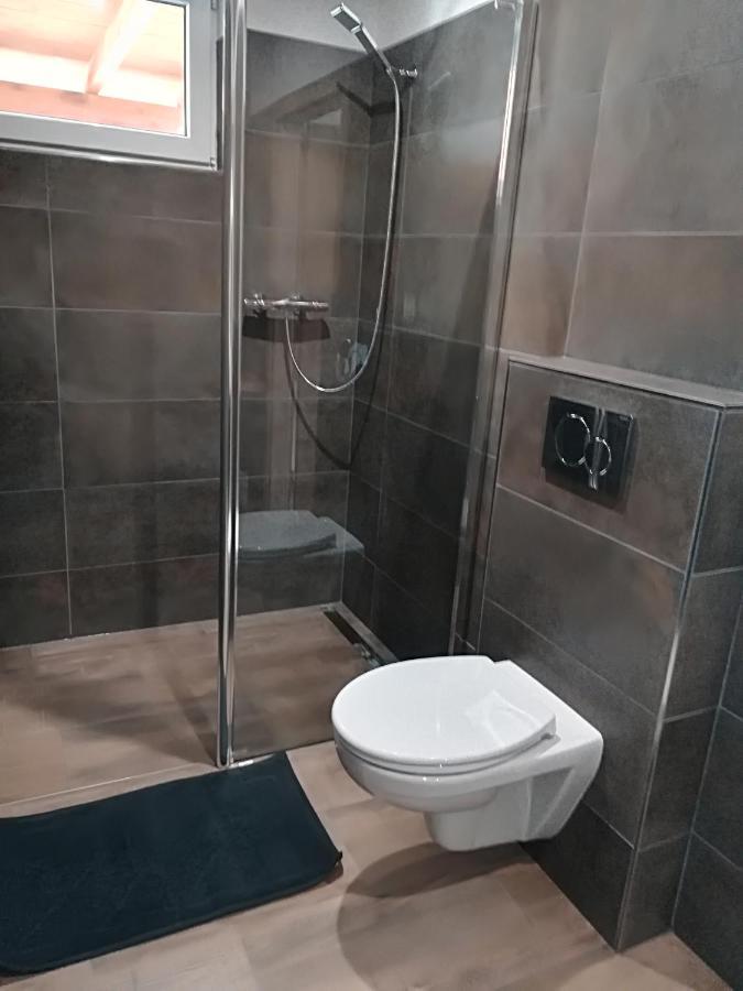 Apartmány Dana Horni Branna Kültér fotó
